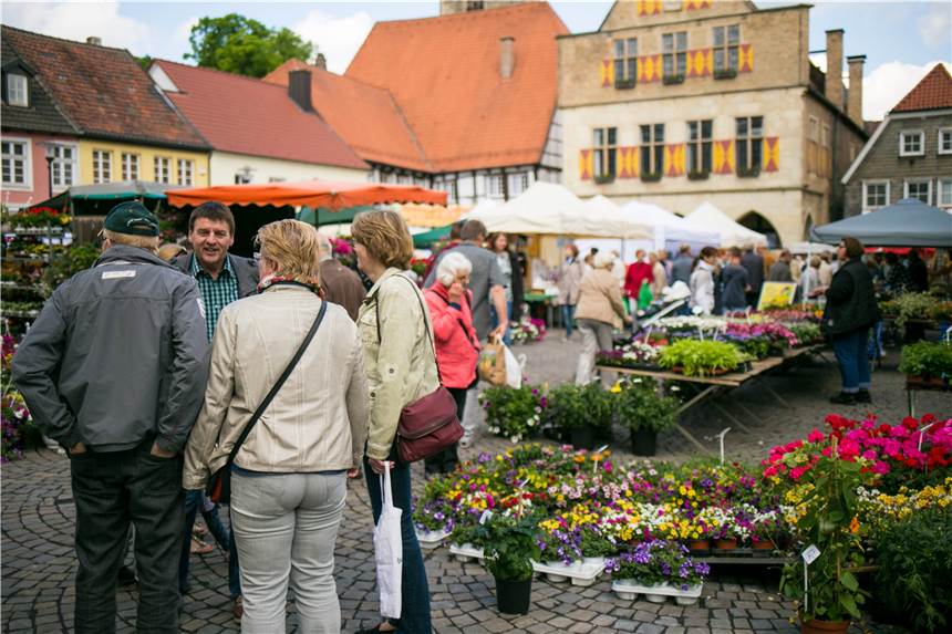 Das bietet der Blumen- und Spargelmarkt Mitte Mai in Werne Menschen stehen auf einem Marktplatz.