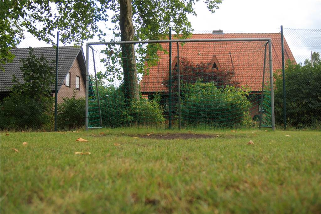 Wohnpark statt Bolzplatz: Anlieger laufen gegen Planung Sturm Der Bolzplatz soll umgesiedelt werden. Bäume, die gefällt werden müssen für den Wohnpark, sollen durch Neuanpflanzungen aufgewogen werden.