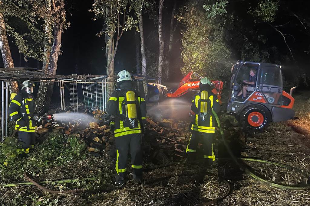 Im Wald Feuer gelegt: „Ich tue eigentlich niemandem etwas“ Der Brand des Holzstapels in der Kippheide in Wulfen