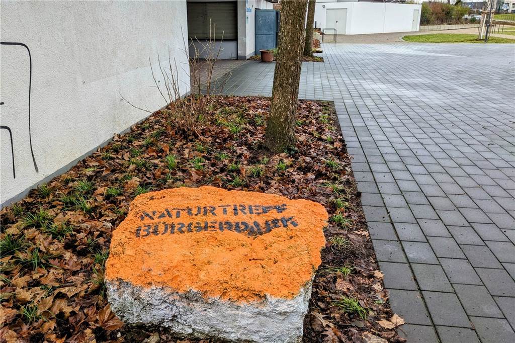 Vereinspläne: Bürgerpark in Dorsten soll zum „Naturtreff“ werden Bemalter Stein