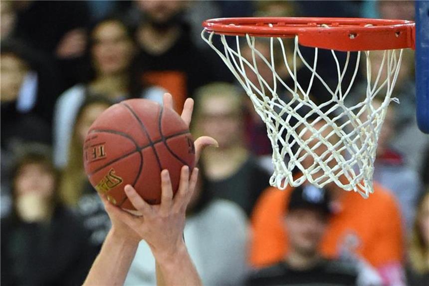 Coach Jovovic verlässt überraschend den Mitteldeutschen BC Der Bundesligist Mitteldeutscher BC sucht nach dem überraschenden Wechsel von Coach Jovovic einen neuen Trainer. Foto: Hendrik Schmidt