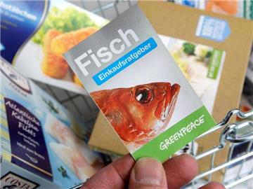 Der Bundesverband der Fischindustrie hält den Greenpeace-Einkaufsratgeber für «wirklichkeitsfremd». Foto: Markus Scholz