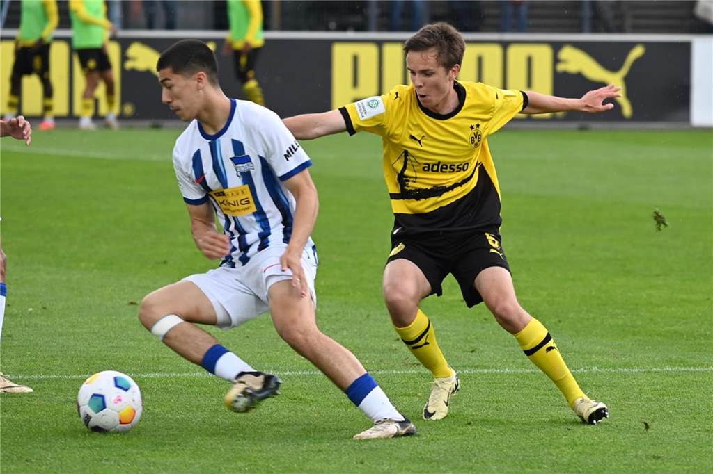 Herrmann sichert BVB-U19 gegen Hertha BSC die Chance aufs Finale: Dortmund droht Defensiv-Engpass Der BVB traf auf Hertha BSC.