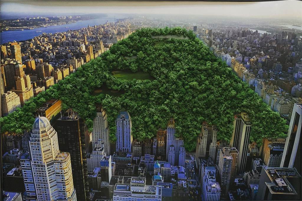 Mit grünen Wänden: Neues Start-Up möchte Welt ein wenig besser machen Der „Central Park“ auf diesem Foto von New York ist durch Moos des Start-Ups dargestellt.