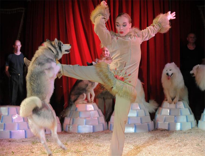 Der Classic Circus ist in Holzen mit einem bezaubernden Programm und bravourösen Artisten zu Gast.