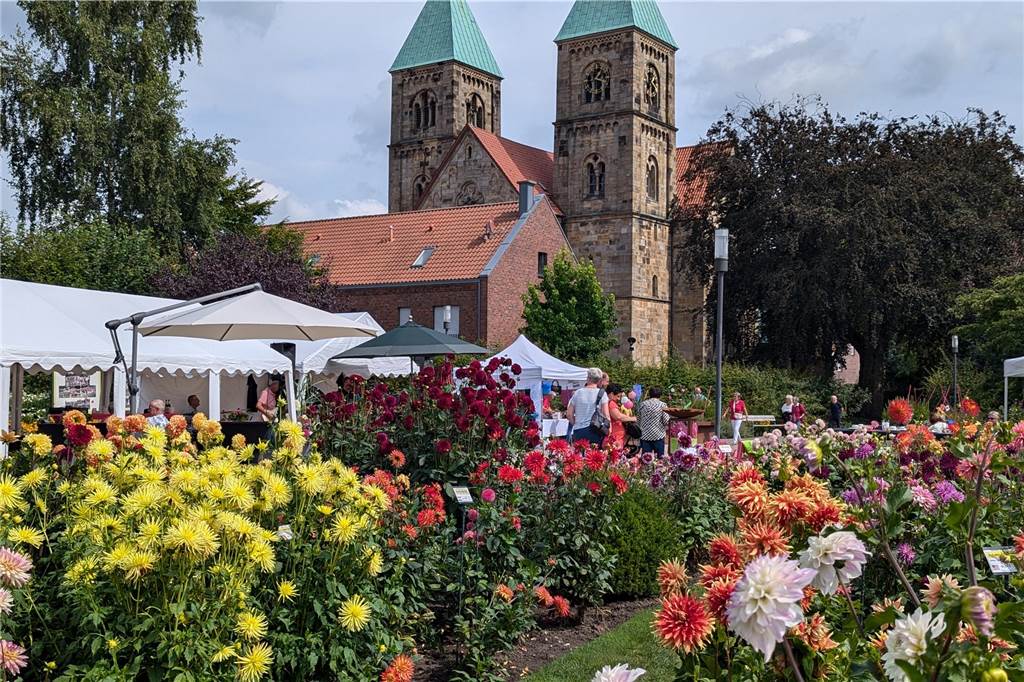 Wochenende der Dahlie im Legdener Dahliengarten