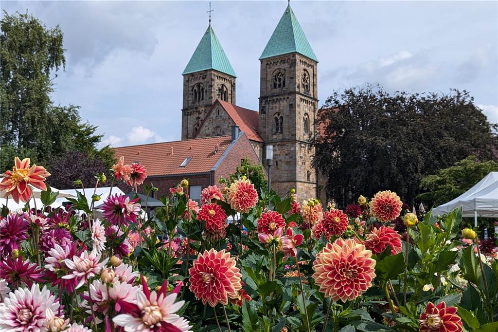 Wochenende der Dahlie im Legdener Dahliengarten