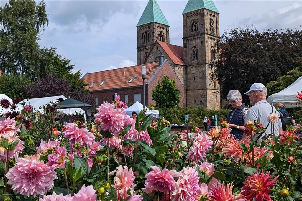 Wochenende der Dahlie im Legdener Dahliengarten