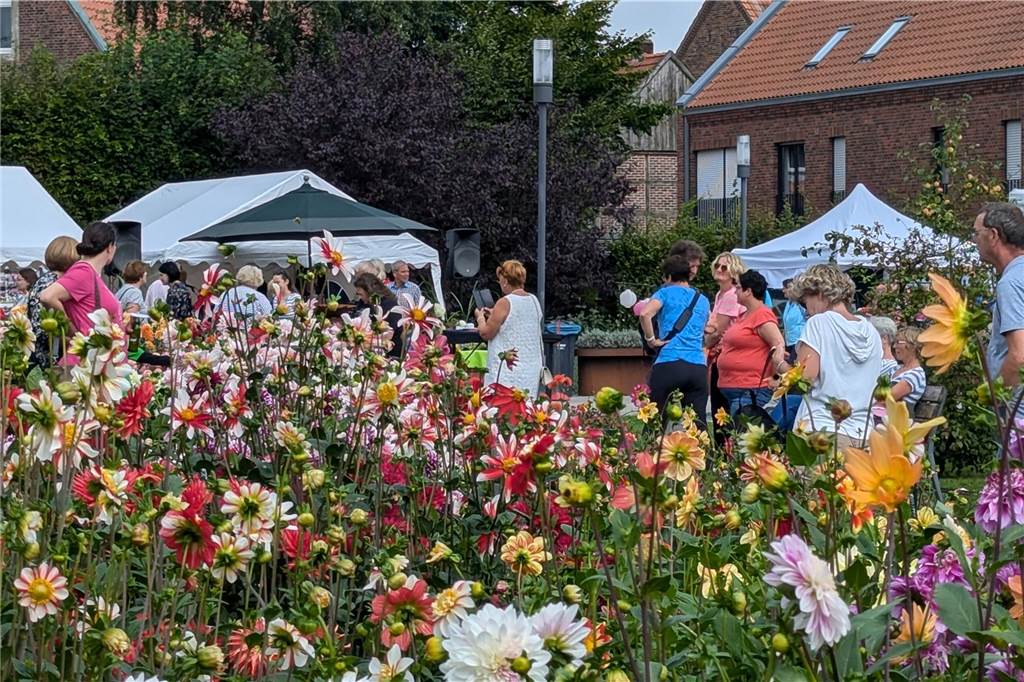 Wochenende der Dahlie im Legdener Dahliengarten