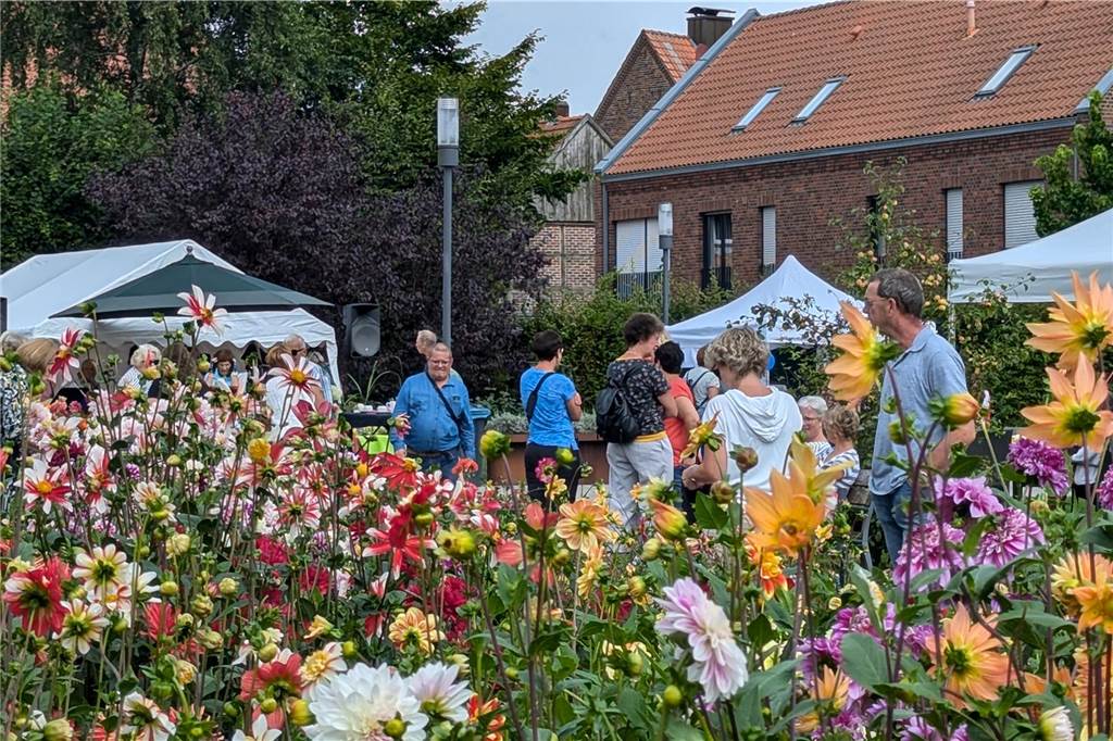 Wochenende der Dahlie im Legdener Dahliengarten