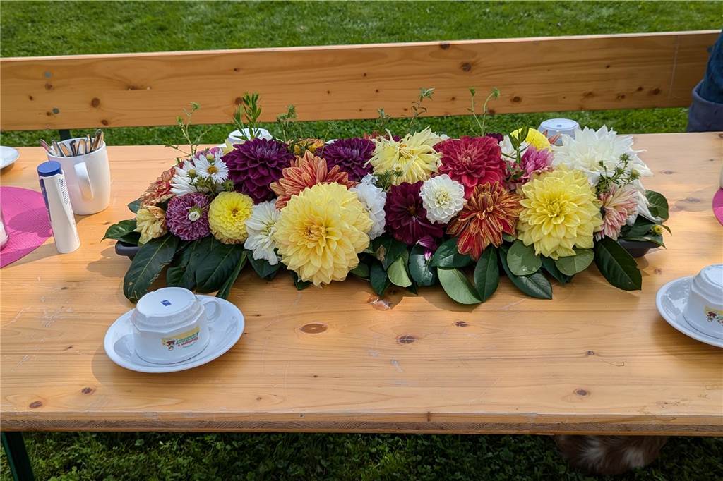Wochenende der Dahlie im Legdener Dahliengarten