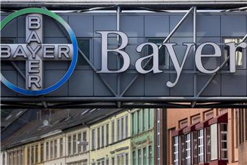 Der Deal soll aber nur zustande kommen, wenn Bayer die geplante Übernahme des Saatgut- und Agrarchemiekonzerns Monsanto aus den USA tatsächlich gelingt. Foto: Oliver Berg