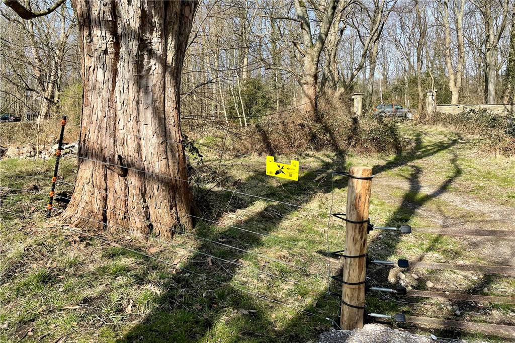Beschluss gefasst: Elektrozaun am Golfplatz Syburg muss abgebaut werden Der dichte Elektrozaun umgibt die gesamte 18-Loch-Anlage.