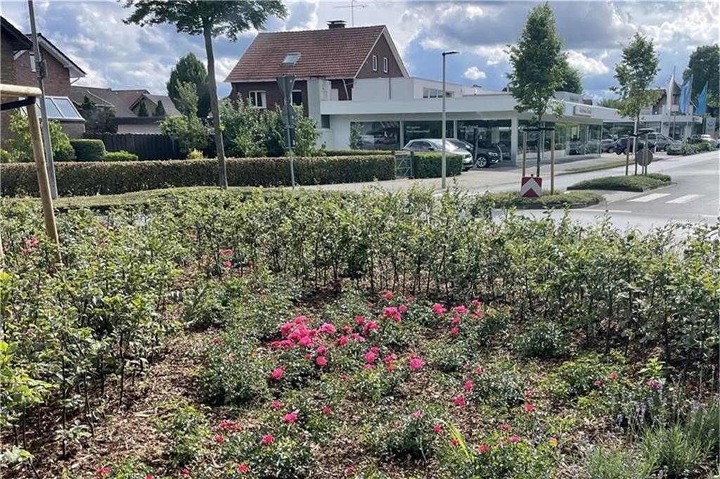 Prozess-Start: Azubi aus Dorsten wollte seinen Chef mit einem Beil töten Der Dorstener machte eine Ausbildung in einem Autohaus in Raesfeld.