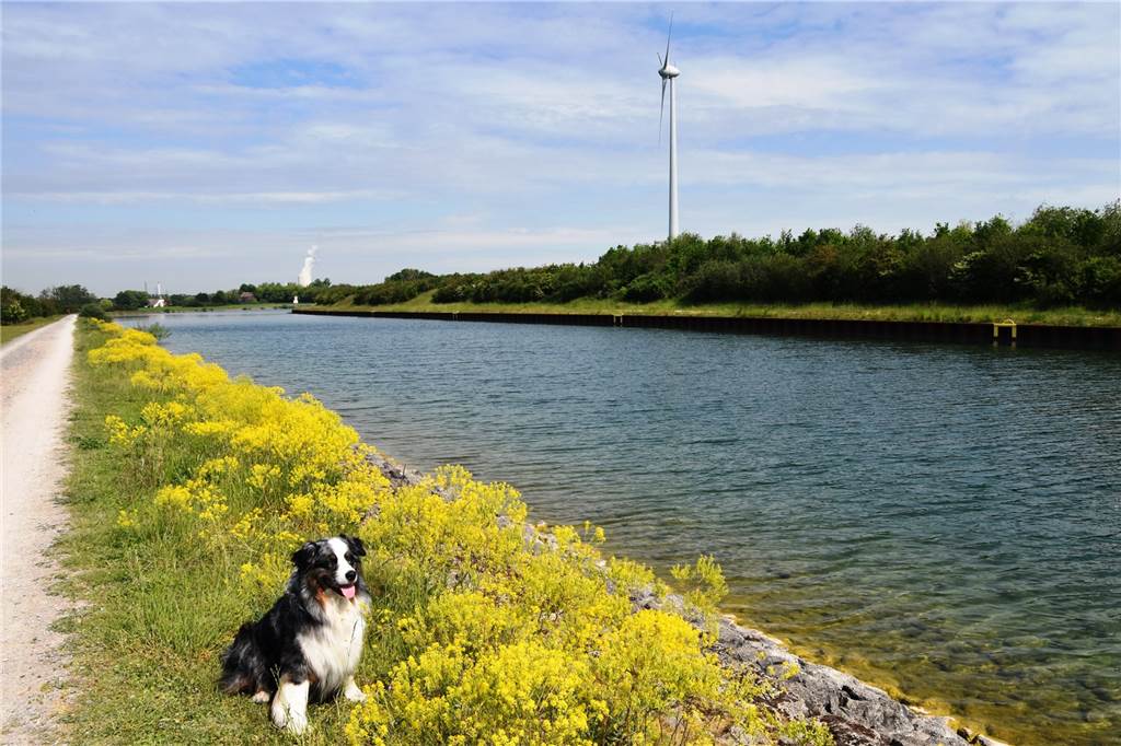 Wander-Experte empfiehlt Fünf-Halden-Tour gegen den Corona-Blues Der Dortmund-Ems-Kanal bei Leveringhausen