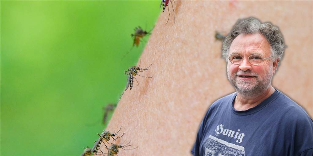 Mückenplage bleibt aus: Imker Ralf Schmidt sagt, warum er falsch lag Der Dortmunder Imker Ralf Schmidt kennt sich nicht nur mit Bienen aus. Er beobachtet auch Mücken und Wespen.