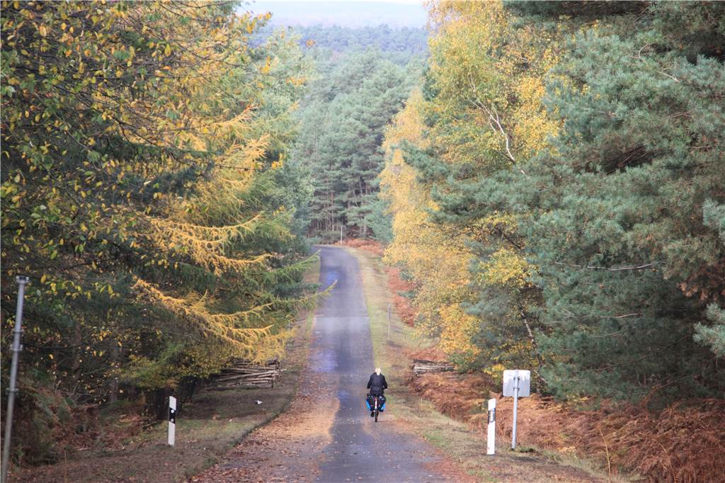 Streit um Tempolimits betrifft auch Halterns Naturschutzgebiete Der ehemalige Truppenübungsplatz mit Waldgebieten, Sumpf-, Moor- und Heidelandschaften: Der DBU Naturerbe GmbH, einer Tochter der Deutschen Bundesstiftung Natur, gehören rund 350 Hektar im Lavesumer Bruch.