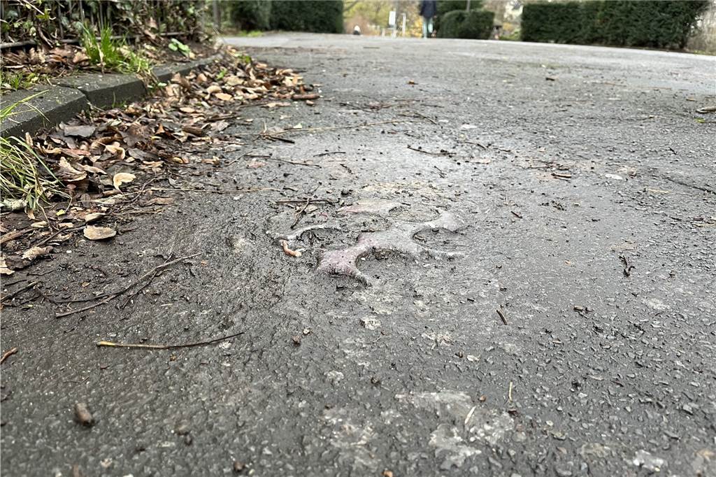 Tödlicher Schuss im Westpark: Die Rekonstruktion der tragischen Nacht Der Eingang zum Westpark an der Rittershausstraße im Dezember 2021. Hier geschah die Tat. Wachsreste auf dem Boden erinnern an vielen Kerzen, die hier über mehrere Wochen im Gedenken an den Getöteten standen.