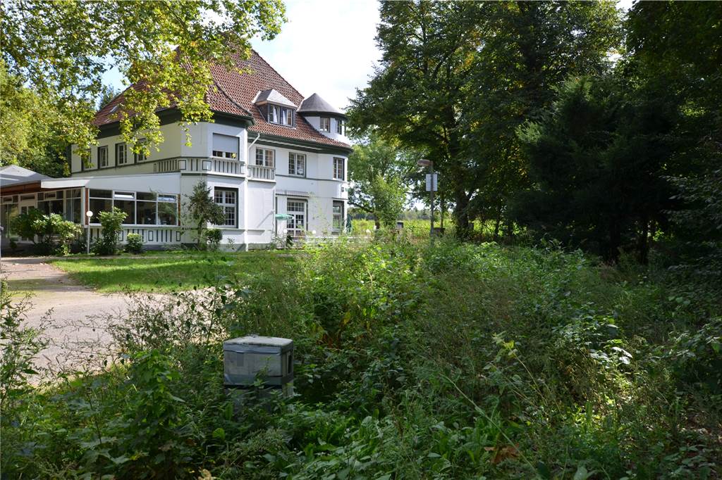 Landfrieden im Volksgarten: Ein Arbeitskreis berät, wie es weiter geht Der Eingangsbereich am Volksgarten-Restaurant wird sein Bild verändern. Die Gestaltung entwickelt nun der reaktivierte Arbeitskreis.