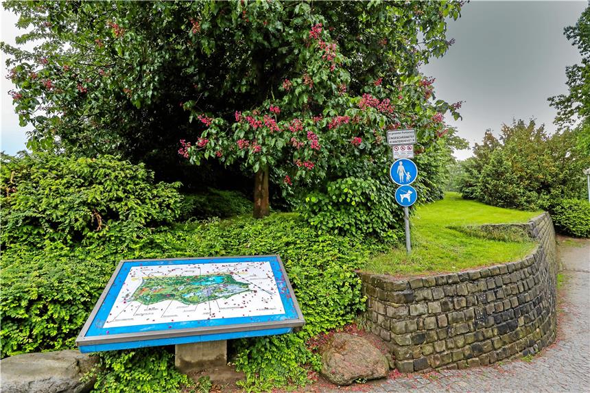 Der Revierpark Wischlingen bekommt eine Frischzellenkur Der Eingangsbereich des Revierparks, heute eher unscheinbar, glänzt nach der Umgestaltung mit einem großen Info-Treffpunkt.