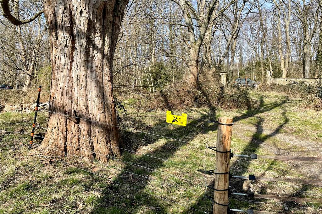 Elektrozaun am Golfplatz bleibt umstritten: „Massiver Eingriff in die Natur“ Der Elektrozaun umfasst inzwischen auch den Bereich an der Wittbräucker Straße. Damit ist auch der Zugang zum Rodelhang gesperrt.