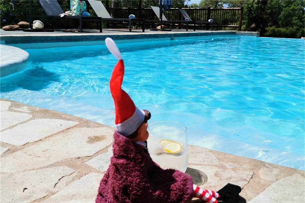 Auswanderin Jenna (38) feiert Weihnachten im südafrikanischen Busch Der "Elf on the Shelf", eine Elfenpuppe mit Mütze, sitzt an einem blauen Pool mit einem Getränk bei Sonnenschein.