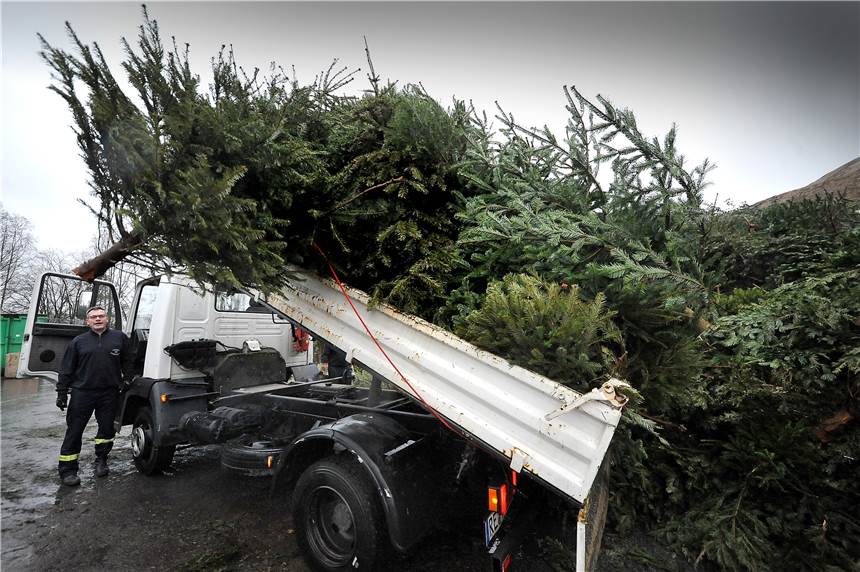 Weg mit dem Weihnachtsbaum? So läuft es dieses Jahr in Castrop-Rauxel Der EUV sammelt wieder Tannenbäume ein. Das Foto entstand bei einer früheren Aktion an der Abladestation der Deponie der EVU.