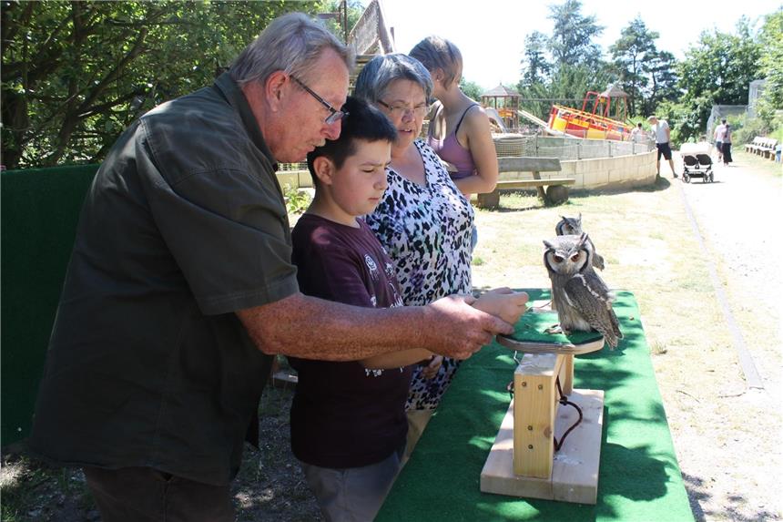 So war der erste Falknertag im Tierpark Eversum Der Falkner Peter Koch (vorne) führte die Besucher vorsichtig an die gefiederten Tiere heran.