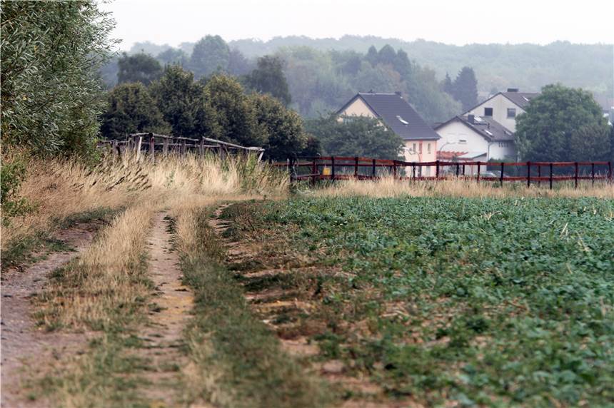 Drei Sexualdelikte innerhalb von fünf Tagen in Dortmund Der Feldweg verbindet zwei Reiterhöfe mit den Wohnstraßen in Lichtendorf.