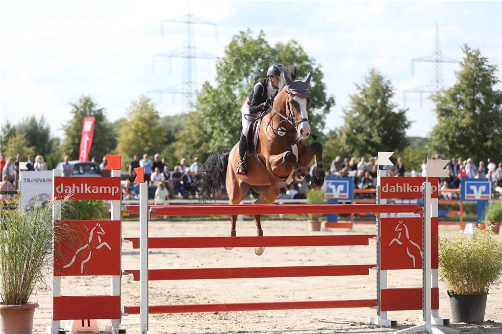 Finaltag beim Reitturnier in Ehringhausen: Viele Bilder vom Sonntag