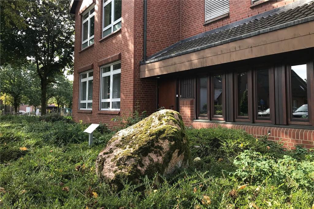Nach Aufruf für neue Naturdenkmale in der Stadt: Viele Vorschläge Stein vor Schule