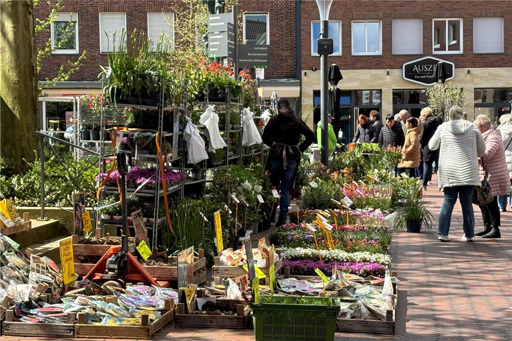 Innenstadt ist Magnet für Hunderte Besucher: Stadtlohner Frühling Blumen