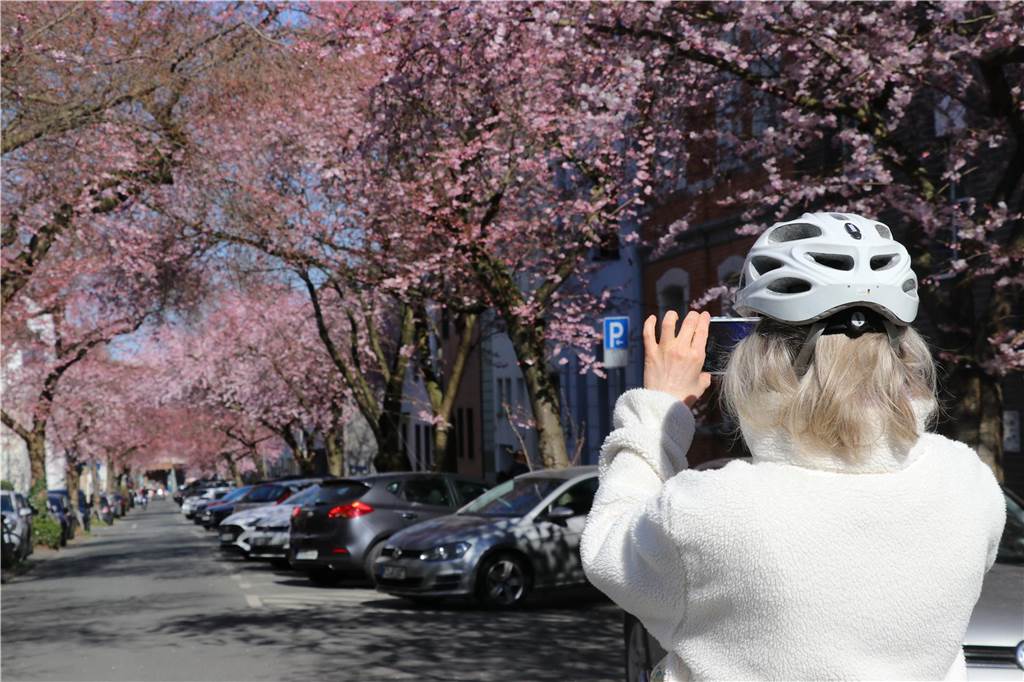 Der Frühling ist da - Eine Radfahrerin hält die Stimmung fest