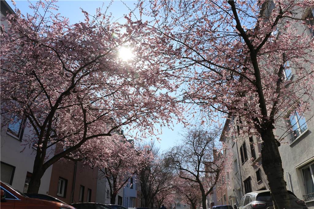 Der Frühling ist da - Strahlender Sonnenschein macht das Bild komplett