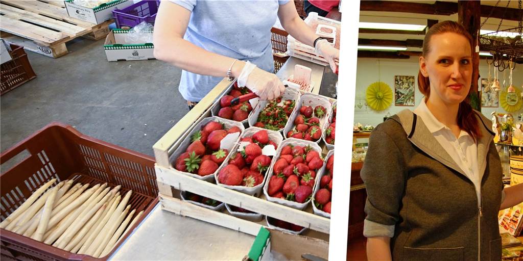 „Schlechter als erwartet“: Regionale Anbieter ziehen Erdbeer- & Spargelbilanz Das Frühling und die ersten Sommermonate sind geprägt von Spargel und Erdbeeren. Diese Saison fiel für Jennifer Schulze Kökelsum, die in Olfen den Kökelsumer Bauernladen betreibt jedoch eher durchwachsen aus.