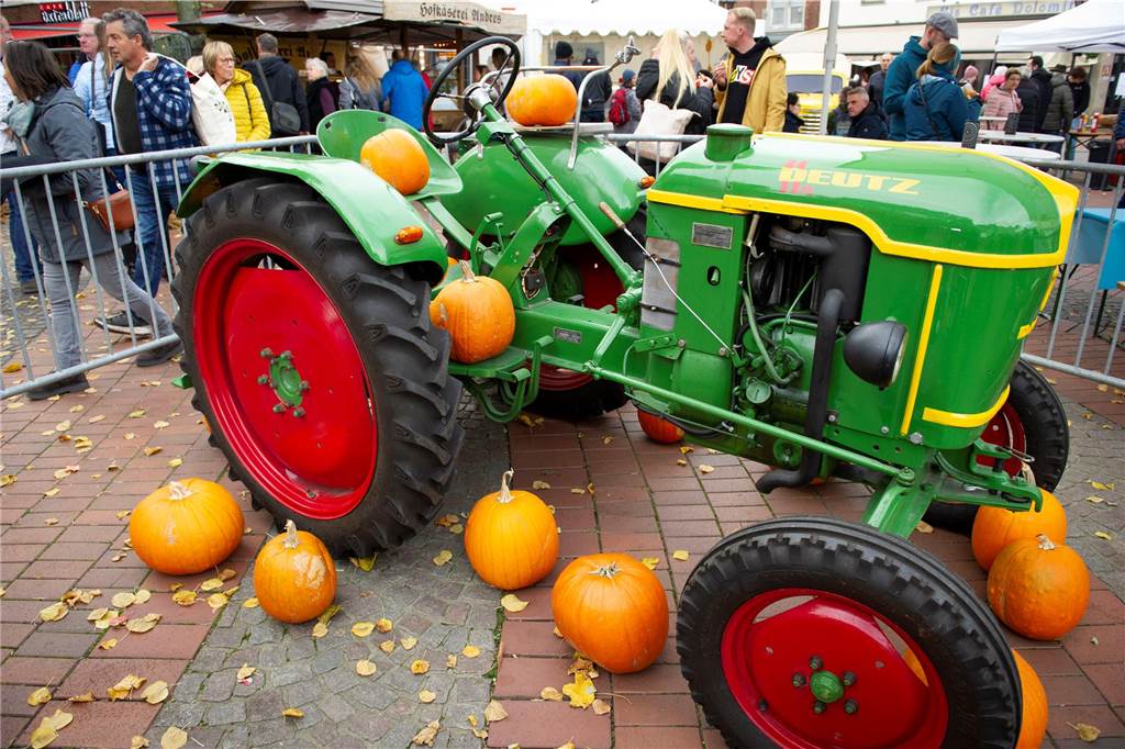 Der Gänsemarkt 2023 findet wieder in Haltern statt. Viele Bilder vom Samstag.