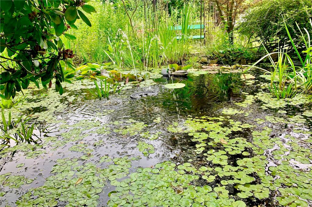 Dornhöfchen: Künstlerpaar schafft märchenhaften Garten am Schwerter Wald Der Gartenteich: Wasser ist ein Lebensquell für Tiere und Pflanzen.