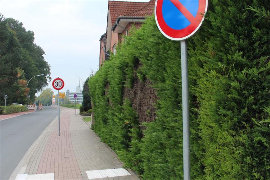 Schild mittig auf Borker Gehweg ärgert Radfahrer Der Gehweg ist für Radfahrer frei, das Verkehrzeichen für die Geschwindigkeitsbegrenzung weiter hinten steht aber mitten auf dem Gehweg.