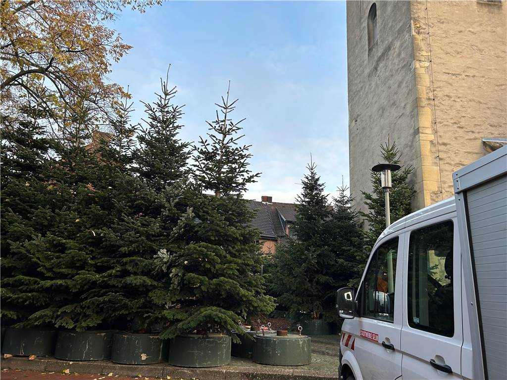 Glitzerwald Selm 2023 in der Altstadt: Aufbau mit Muskelkraft und Greifarm Der Glitzerwald an der Friedenskirche wächst zusehends.