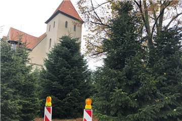 Der Glitzerwald ist bald Geschichte. Jeder, der mag, kann sich einen Baum gegen eine Spende abholen. Die Stadt Selm hat jetzt das Datum der Abholaktion genannt.