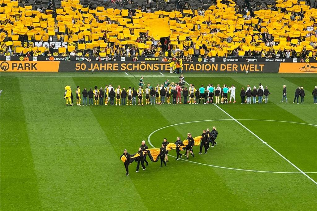 Blick auf den Rasen des Westfalenstadions