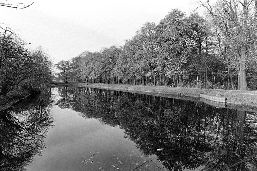 Der große Teich gegenüber des Schlossparkplatzes ist gut gepflegt.