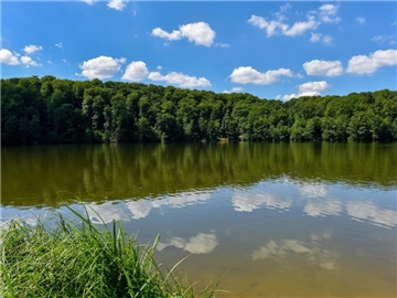 Der große Treppelsees im Naturpark Schlaubetal ist bei Brandenburgern und Berlinern ein beliebter Erholungsort. Urlaub in den heimischen Regionen liegt im Trend. Foto: Patrick Pleul/dpa
