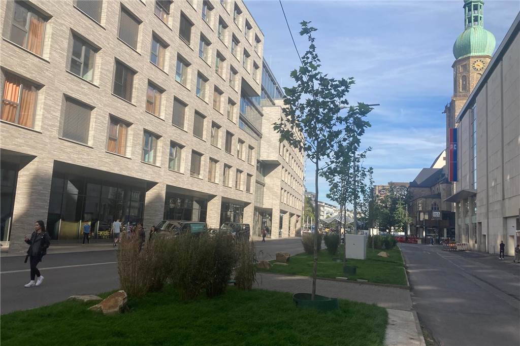 Zieht endlich einen Schlussstrich Der Grünstreifen vor dem Basecamp müsste bei einer Realisierung der "Boulevard"-Pläne wieder verschwinden.
