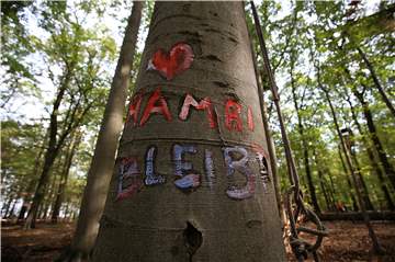 Der Hambacher Wald bewegt auch die Naturschützer in Dortmund. Der BUND bietet eine Busfahrt zur gewaltfreien Teilnahme an der Großdemo am Samstag (6.10.) an.