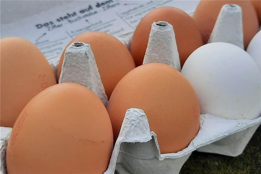Vogelgrippe und Eier-Krise auch in Dortmund?: Die Lage kurz vor Ostern Eier vom Hof Lüning