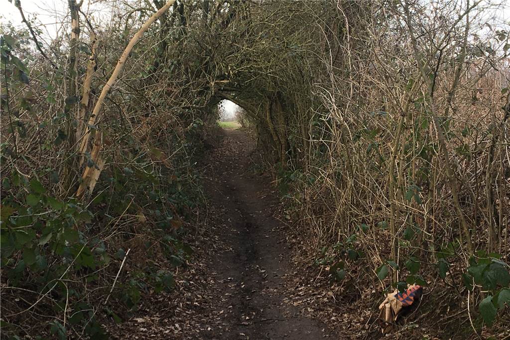 Hohlweg In der Borg: Unbekannte richten schweren Schaden an Der Hohlweg im Bereich In der Borg ist zu jeder Jahreszeit einen Besuch wert.