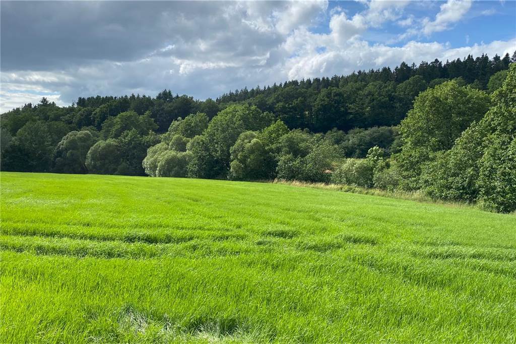 Dortmunder Pfadfinder aus Hochwasser-Ferienlager in der Eifel evakuiert Der idyllische Zeltplatz vor dem Unwetter.