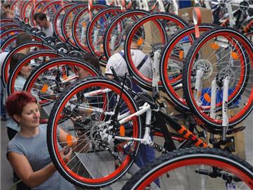 Der insolvente Fahrradhersteller Mifa benötigt dringend Geld, um die Produktion für 2015 sichern zu können. Foto: Hendrik Schmidt/Archiv