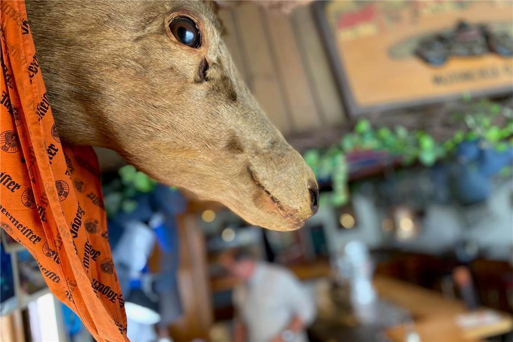 Oliver Hillen (61) von Haus Zier traurig: „Der letzte Abend war schön“ Der Jägermeister-Hirsch ist der Einzige, der sich von den traurigen Aufräumarbeiten unter sich unbeeindruckt zeigt.